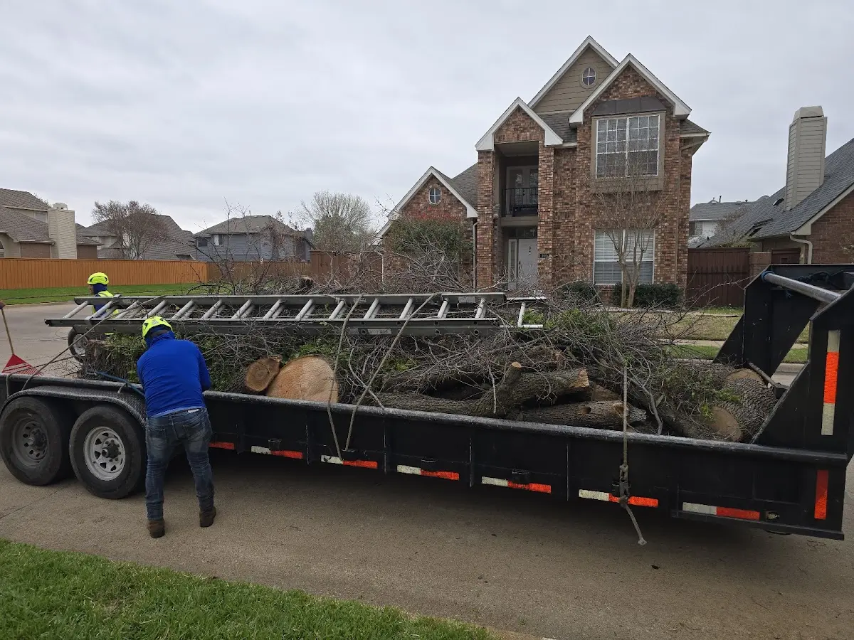 Expert Tree Fertilization with proper safety equipment in Aguanga